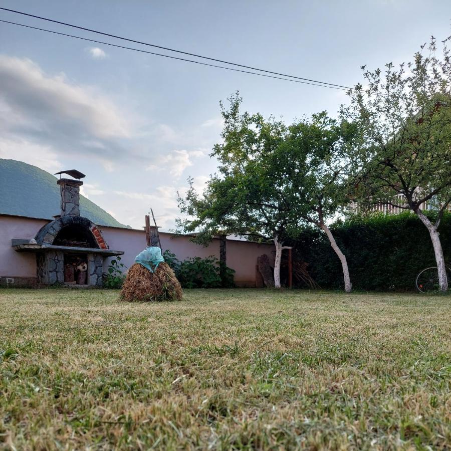 Mirza Villa *